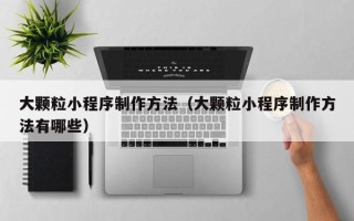 聊城大颗粒小程序制作方法（大颗粒小程序制作方法有哪些）