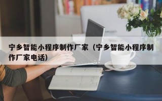 聊城宁乡智能小程序制作厂家（宁乡智能小程序制作厂家电话）