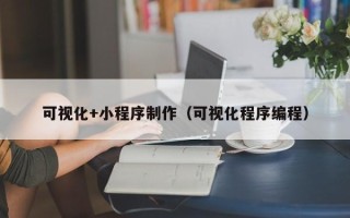 聊城可视化+小程序制作（可视化程序编程）